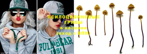 круглые Вяземский