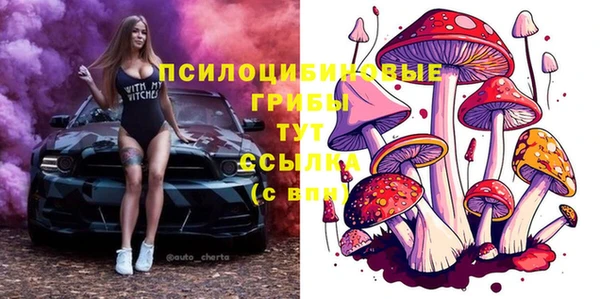 круглые Вяземский