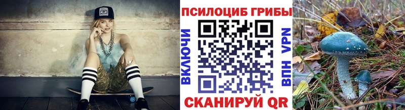 купить закладку Ирбит Галлюциногенные грибы прущие грибы